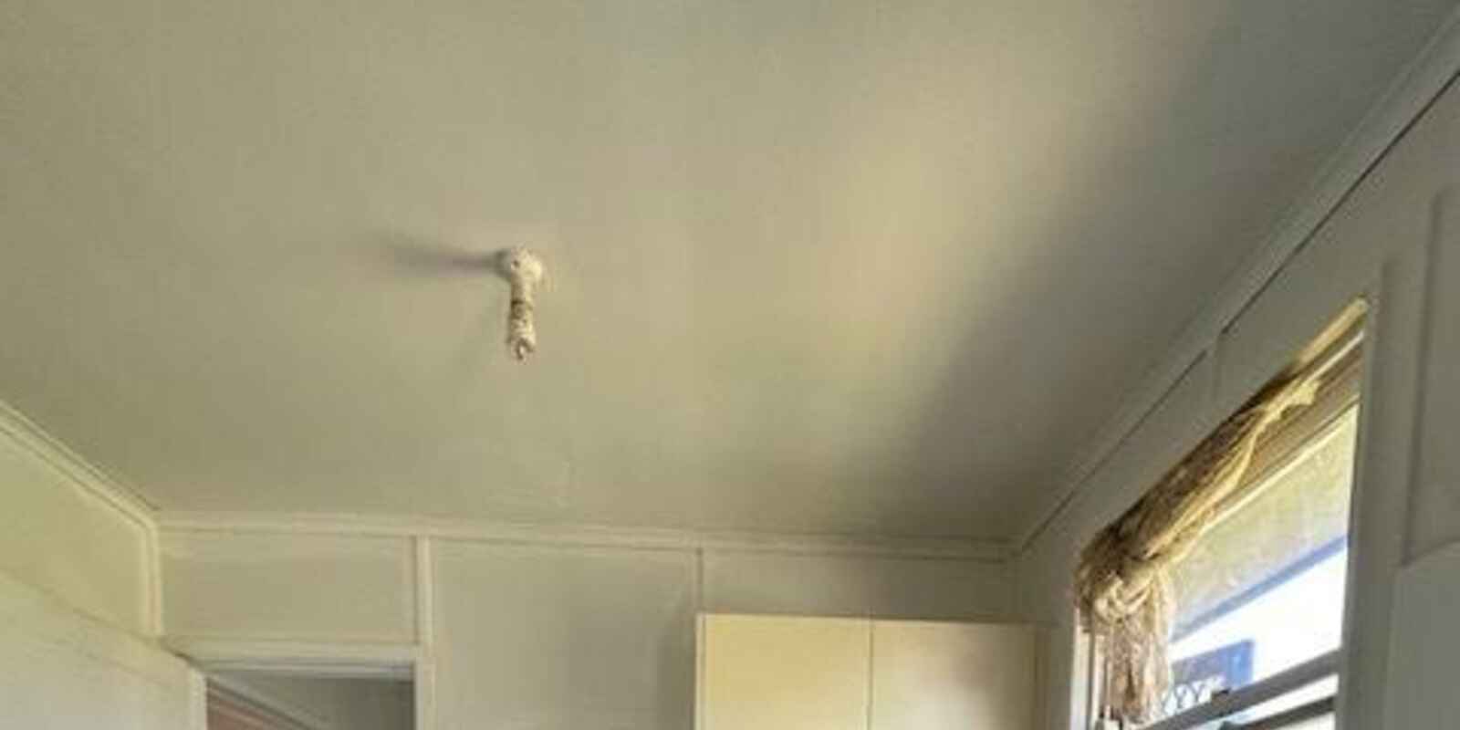 19 Peterlee Rd Canley Heights 19 Peterlee Rd Canley Heights