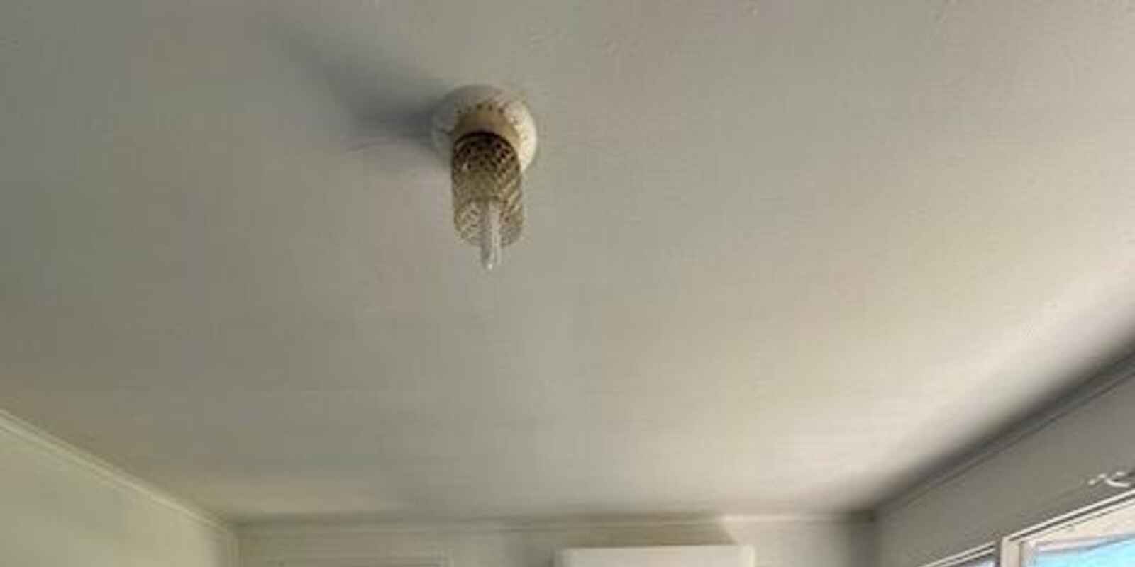 19 Peterlee Rd Canley Heights 19 Peterlee Rd Canley Heights