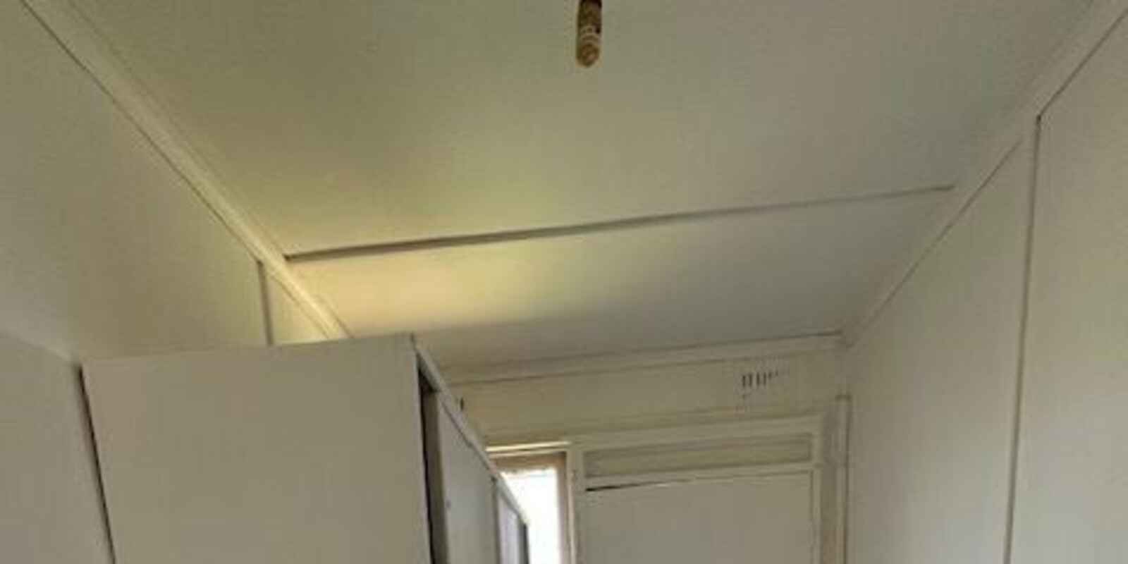 19 Peterlee Rd Canley Heights 19 Peterlee Rd Canley Heights